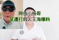 王海最新爆料网红光哥,王海最新爆料揭露背后真相