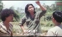 山狗1980在线观看,重温经典，探寻热血青春的岁月印记